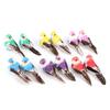 12PCS Artificial Simulation Feather Bird, Colorful Foam DecoBird for Plant Garden Home view 1