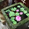 POPETPOP 6PCS Lotus Fake Pond Plants - Artificial Floating Water Lily Lotus Pool Decor - Realistic Water Lily Pads for Home Outdoor Patio Aquarium Wedding Party Decorations view 2