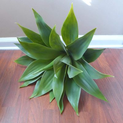 Artificial Flowers 20" Big Tequila Agave Plastic Succulents Tree Realistic Flower Arrangements Craft Art Decor Plant for Indoor Outdoor Decoration
