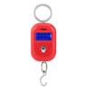 Mini Electronic Scale, Fish Weighing Scales Red Portable 25Kg/5G Hanging Scale Digital Pocket Key Chain Weight Hook Kitchen Food Weight Gauge Measuring Tools with Backlight for Home Farm Market view 1