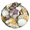 Carga de Olokun| Olokun Shell Basket| Yemaya Seashell Basket view 2