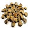 HQRP-Crystal Natural Coronocephalus Trilobite Tail Collectible Gemstone Fossil Mineral Decor Rough Specimen from Hunan, China (10PCs) view 1