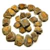 HQRP-Crystal Natural Coronocephalus Trilobite Tail Collectible Gemstone Fossil Mineral Decor Rough Specimen from Hunan, China (10PCs) view 2