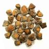 HQRP-Crystal Natural Coronocephalus Trilobite Tail Collectible Gemstone Fossil Mineral Decor Rough Specimen from Hunan, China (10PCs) view 3