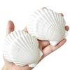 QICQDRAM 30PCS Sea Shells for Crafts 2''-3'' Scallop Seashells for Painting view 1