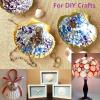 QICQDRAM 30PCS Sea Shells for Crafts 2''-3'' Scallop Seashells for Painting view 3