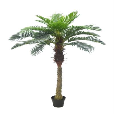 AMERIQUE Gorgeous & Unique 6 Feet Tropical Phoenix Palm Tree Artificial Plant Tree with 15 Big Leaves, with Nursery Plastic Pot, Feel Real Technology, Green