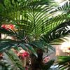 AMERIQUE Gorgeous & Unique 6 Feet Tropical Phoenix Palm Tree Artificial Plant Tree with 15 Big Leaves, with Nursery Plastic Pot, Feel Real Technology, Green view 2