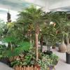 AMERIQUE Gorgeous & Unique 6 Feet Tropical Phoenix Palm Tree Artificial Plant Tree with 15 Big Leaves, with Nursery Plastic Pot, Feel Real Technology, Green view 3