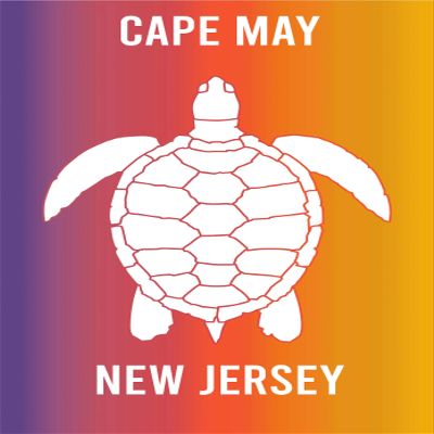 Cape May New Jersey Souvenir 2x3 Inch Fridge Magnet Turtle Design