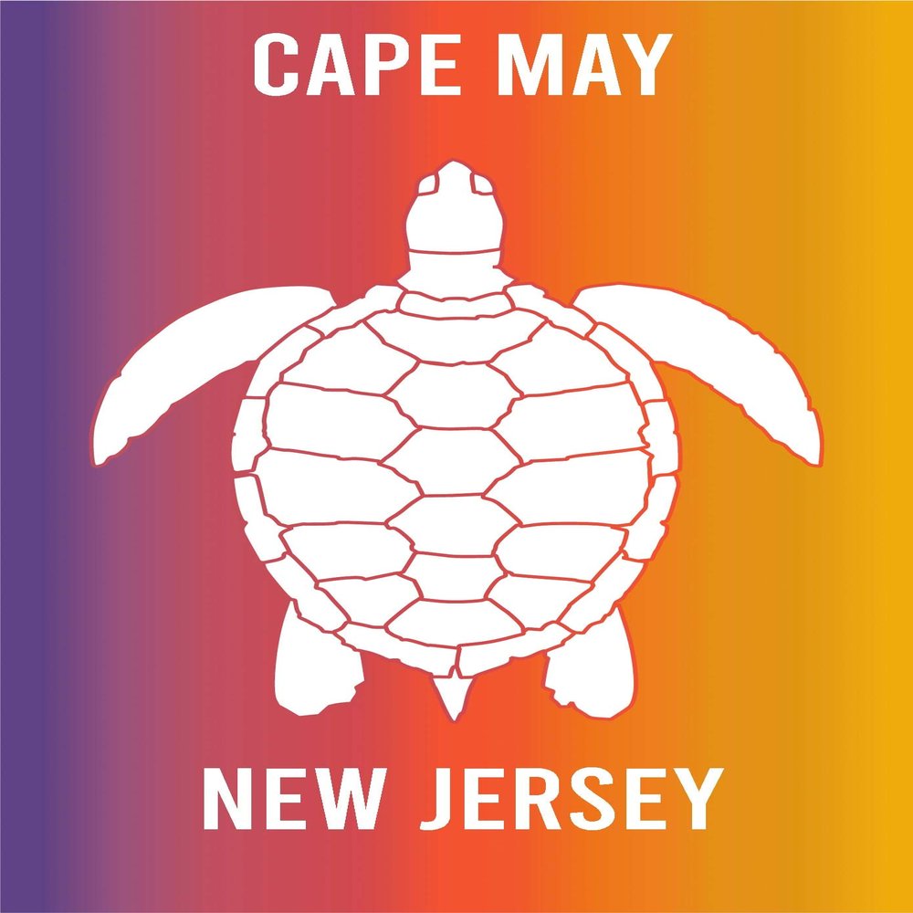 Cape May New Jersey Souvenir 2x3 Inch Fridge Magnet Turtle Design