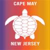 Cape May New Jersey Souvenir 2x3 Inch Fridge Magnet Turtle Design view 1