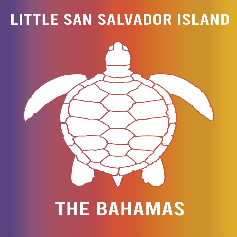 Little San Salvador Island The Bahamas Souvenir 2x3 Inch Fridge Magnet Turtle Design