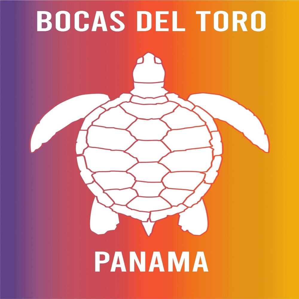 Bocas Del Toro Panama Souvenir 2x3 Inch Fridge Magnet Turtle Design