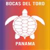 Bocas Del Toro Panama Souvenir 2x3 Inch Fridge Magnet Turtle Design view 1