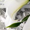 artgeist Textured Canvas Wall Art Flowers Lily 80x40 in - 5pcs Painting Canvas Prints Picture Artwork Image Framed Contemporary Modern Photo Wall Home a-C-0077-b-m view 4