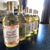 6 Teacher Appreciation Wine Bottle Labels, Funny Teachers Appreciation Day Gifts for Teachers, Perfect Teacher Appreciation Gifts for Women, Classroom Wine Bottle Labels for Birthday by Harper & Ivy view 3