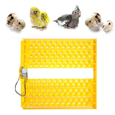 Automatic Egg Incubator Turning Tray, 132PCS Eggs Automatic Egg Turner Turning Tray for Automatic Egg Incubator Tray Incubation Accessory(110V)
