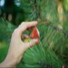 Crystal Pyramid of Natural Red Jasper Chakra Healing Stone, 1.5 inch view 4