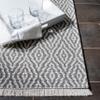 SAFAVIEH Area Rug 8x10 - Augustine Collection - Large - Grey & Ivory, Geometric Fringe Design, Easy Cleaning, Ideal for Living Room, Bedroom, Office, Dining Space (AGT484F) view 4