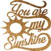 Badger Steel USA - You are My Sunshine - Metal Wall Art - 18" X 18" - Hammered Copper view 4