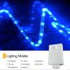 100ft LED Rope Lights Outdoor, 720 LED Connectable and Flexible Tube Lights with 8 Modes, Waterproof LED Rope Lighting for Garden, Patio, Bedroom, Party, Pool, Indoor Outdoor Xmas Decoration (Blue) view 3