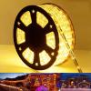 100ft LED Rope Lights Outdoor, 720 LED Connectable and Flexible Tube Lights with 8 Modes, Waterproof LED Rope Lighting for Garden, Patio, Pool, Bedroom, Party, Indoor Outdoor Decoration (Warm White) view 1