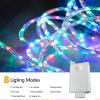 100ft LED Rope Lights Outdoor, 720 LED Connectable and Flexible Tube Lights with 8 Modes, Waterproof LED Rope Lighting for Garden, Patio, Pool, Bedroom, Party, Indoor Outdoor Decoration (Multicolor) view 3