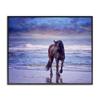 Stupell Industries Wild Horse on Beach Colorful Blue Sunset view 1