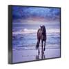 Stupell Industries Wild Horse on Beach Colorful Blue Sunset view 3