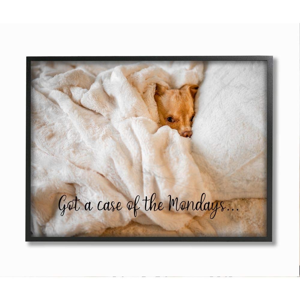 Stupell Industries Case of The Mondays Quote Dog Nap Pet Humor