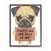 Stupell Industries You're Not The Boss of Me Quote Pug Dog Humor, Designed by Danny Gordan Wall Art, 16 x 20, Black Framed view 1