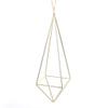 Youngy Gold Hanging Air Plant Holder with Chain Hanging Air Plant Holder Geometric Planter Metal Airplant Rack Hanger - Gold view 1