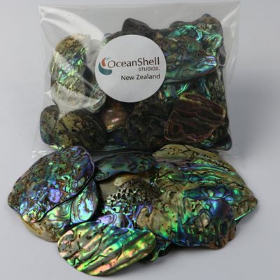 Abalone (Pua) Shell Pieces-7.05oz Pack-for Crafts, Jewelry Making, Resin Art, Inlay, Home Decorations, Fishtank Supplies, DIY Projects - Satin, Medium Medium Size 1"- 1.58" 7.05oz (200grams)