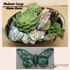 Abalone (Pua) Shell Pieces-7.05oz Pack-for Crafts, Jewelry Making, Resin Art, Inlay, Home Decorations, Fishtank Supplies, DIY Projects - Satin, Medium Medium Size 1"- 1.58" 7.05oz (200grams) view 4