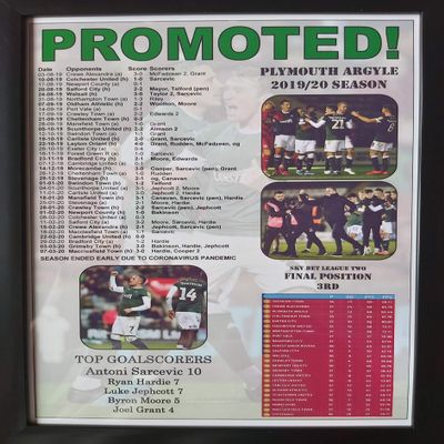 Plymouth Argyle League Two promoted 2020 - framed print