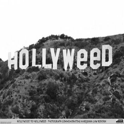 Studio B Hollyweed - Laminated Poster - 36.5" x 24.5"