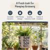 Blue Sky Ceramic Hanging Turlingtong 6.5'' Flower Pot view 4
