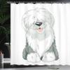Ambesonne English Sheepdog Shower Curtain, Illustration of Domestic and Fluffy Sitting Animal on Plain Background, Cloth Fabric Bathroom Decor Set with Hooks, 69" W x 70" L, Off White Grey view 3
