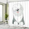 Ambesonne English Sheepdog Shower Curtain, Illustration of Domestic and Fluffy Sitting Animal on Plain Background, Cloth Fabric Bathroom Decor Set with Hooks, 69" W x 70" L, Off White Grey view 4