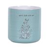 Blue Sky Ceramic Sanora Cactus 5'' Flower Pot, Multi Color view 1