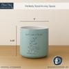 Blue Sky Ceramic Sanora Cactus 5'' Flower Pot, Multi Color view 2
