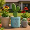 Blue Sky Ceramic Sanora Cactus 5'' Flower Pot, Multi Color view 4