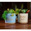 Blue Sky Ceramic Boss Planters 5'', 2 Asst, Multi Color view 2
