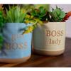 Blue Sky Ceramic Boss Planters 5'', 2 Asst, Multi Color view 3