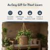 Blue Sky Ceramic Hanging Majestic 6.5" Flower Pot, Multi Color view 4