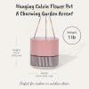 Blue Sky Ceramic Hanging Calvin 6.5" Flower Pot, Multi Color view 3