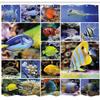 Ambesonne Ocean Shower Curtain, Collage of Underwater Photos with a Group of Tropical Art Fish Oceanic Pattern, Cloth Fabric Bathroom Decor Set with Hooks, 69" W x 70" L, Yellow Blue view 2