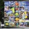 Ambesonne Ocean Shower Curtain, Collage of Underwater Photos with a Group of Tropical Art Fish Oceanic Pattern, Cloth Fabric Bathroom Decor Set with Hooks, 69" W x 70" L, Yellow Blue view 3