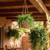 Blue Sky Ceramic Hanging Cranston 6.5" Flower Pot, Multi Color view 2